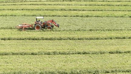 Agriculture : les récoltes subissent les affres du mauvais temps