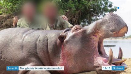 Rhône : les gérants d'un Super U démissionnent après avoir publié les photos d'un safari