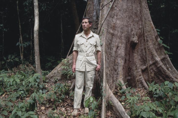 Charles, prince de Galles, effectue un safari au Cameroun le 22 mars 1990. (TIM GRAHAM PHOTO LIBRARY / GETTY IMAGES)