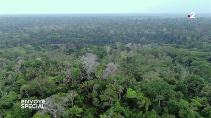 Comment la déforestation de l'Amazonie peut affecter le climat en France (ENVOYÉ SPÉCIAL  / FRANCE 2)