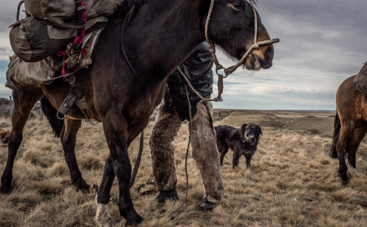 Gaucho revêtu de jambières en peau de chèvre, pour se protéger du froid. (THOMAS MUNITA / GEO)