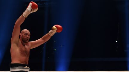 Le boxeur Tyson Fury célèbre un titre de champion du monde, à Düsseldorf (Allemagne), le 29 novembre 2015. (PATRIK STOLLARZ / AFP)