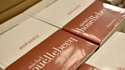 Couvertures du roman "Anéantir" de Michel Houellebecq lors de sa sortie le 7 janvier 2022. (DIMITRI MORGADO / RADIO FRANCE)