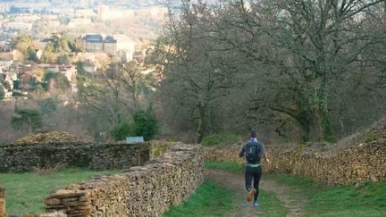 Rhône : à la découverte des cabornes de Saint-Cyr-au-Mont-d’Or (France 2)