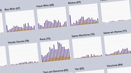 Graphiques des hospitalisations et des réanimations par département (FRANCEINFO)