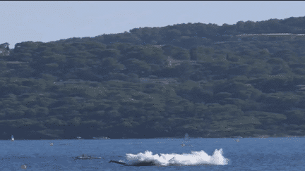 Meeting aérien dans le Var : un avion s'écrase pendant les commémorations du débarquement de Provence