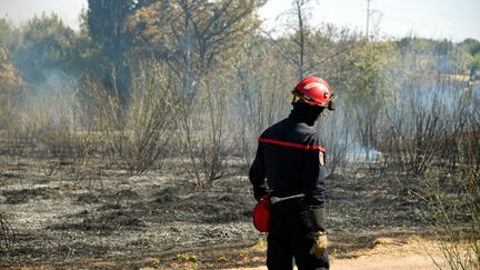 Un pompier devant la végétation calcinée, près de Montpellier (Hérault), le 31 juillet 2022. (RICHARD DE HULLESSEN / MAXPPP)