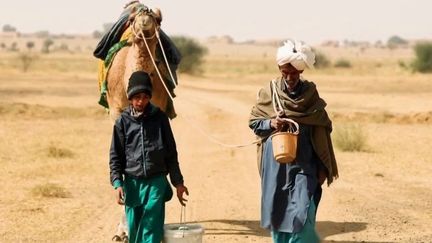 Inde : dans le désert du Thar, l’eau vaut de l’or