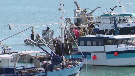 Pêche : le secteur mise sur l’alternance pour attirer les jeunes