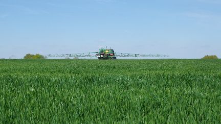 Un tracteur pulvérise des produits sur un champs de blé au printemps 2023 [photo d'illustration]. (MATHIEU THOMASSET / HANS LUCAS via AFP)