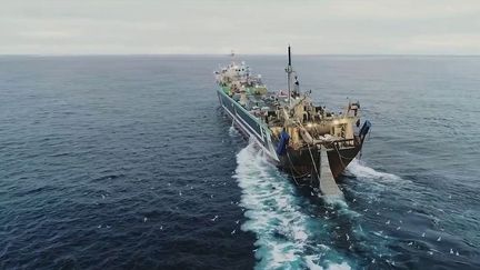 L’ONG&nbsp;Sea Shepherd&nbsp;vient de dévoiler des images d’un gigantesque banc de poissons morts au large de La Rochelle&nbsp;(Charente-Maritime).&nbsp;L’organisation écologique était en train de suivre la trace de ces gigantesques navires-usines de pêche.&nbsp;L’une d’elles est à l’origine de ce rejet au large du Golfe de Gascogne.&nbsp;L’Union européenne s’est saisie de l’affaire. (FRANCE 2)