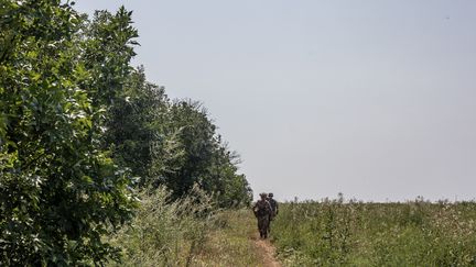 Des soldats ukrainiens marchent vers Vuhledar, dans l'Oblast de Donetsk, dans l'est de l'Ukraine, le 26 juillet 2023. (DIEGO HERRERA CARCEDO / ANADOLU AGENCY / AFP)