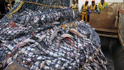 Un chalutier en mer d'Écosse en 2013 (THIERRY CREUX / MAXPPP)