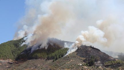 Un feu de forêt à Artenara, sur l'île espagnole de Grande Canarie, le 10 août 2019. (MAXPPP)