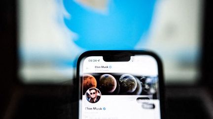 Le compte Twitter du milliardaire Elon Musk, le 26 avril 2022. (XOSE BOUZAS / HANS LUCAS / AFP)