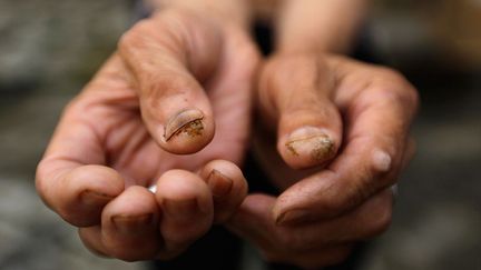 l’arsenic est un élément chimique naturellement présent dans les sols. (REUTERS / Jason Lee)