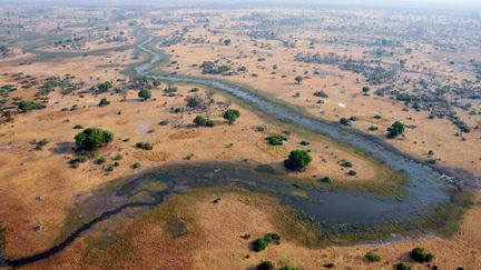 Le fleuve&nbsp;Okavango au Botswana. (LYU TIANRAN / MAXPPP)