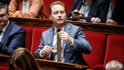 Sylvain Maillard à l'Assemblée nationale, en octobre 2018. (THOMAS PADILLA / MAXPPP)