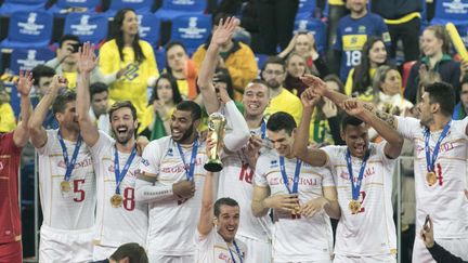 Les volleyeurs français fêtent leur victoire en finale de la Ligue mondiale, le 8 juillet 2017 à Curitiba, au Brésil. (CLEBER YAMAGUCHI / AGIF / AFP)