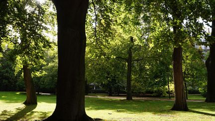 &quot;Il y a trois mille quatre cents arbres dans le jardin, des marronniers, des platanes, des tilleuls, des sophoras, des robiniers dont les fleurs sentent si bon (…) Il paraît qu&#039;il y a même un cyprès, un seul, mais je n&#039;ai jamais réussi à le localiser.&quot;
 (Laurence Houot / Cullturebox)