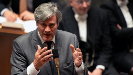 Le ministre de l'Agriculture St&eacute;phane Le Foll s'exprime &agrave; l'Assembl&eacute;e nationale, le 29 octobre 2013. (PIERRE ANDRIEU / AFP)