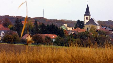 Le 21 octobre 2003, dans la forêt de Galfingue (Haut-Rhin), un agriculteur avait découvert des sacs plastiques contenant les corps de quatre bébés. (MAXPPP)