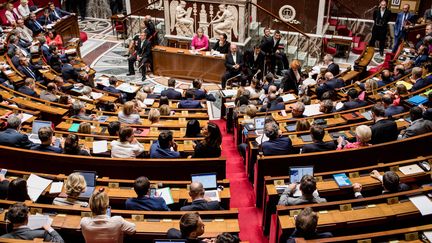 Deux motions de censure débattues à l'Assemblée