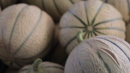 Alimentation : le melon de Cavaillon fait souffler un vent d'été sur les étals (France 2)