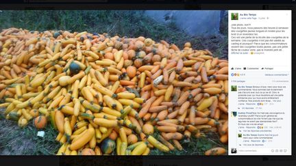 Un message posté sur la page Facebook de l'exploitation agricole Au Bio Temps, le 9 juillet 2017, accompagné d'une photo d'une partie de leur production de courgettes que les agriculteurs affirment ne pas pouvoir écouler. (AU BIO TEMPS / FACEBOOK)