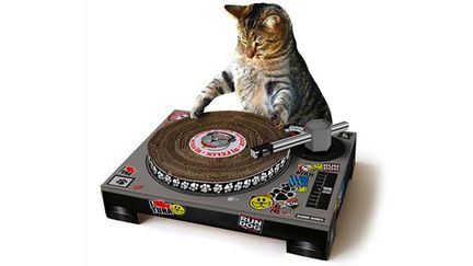 La platine en carton pour Dj chats.
 (Suck.uk.com)