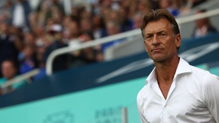 Football : l'entraineur adjoint de l'équipe de France féminine, Laurent Bonadei va succéder à Hervé Renard