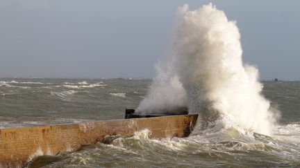 Sur une digue de Lomener (Morbihan), le 13 d&eacute;cembre 2011. (FRANCOIS DESTOC / LE TELEGRAMME / PHOTOPQR / MAXPPP)