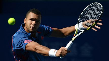 Le Manceau Jo-Wilfried Tsonga entre ombre et lumière