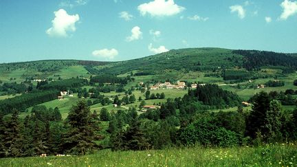 Les monts du Forez, dans la région des Hautes-Chaumes (Puy-de-Dôme, 2001). (AGON MICHEL / MAXPPP)