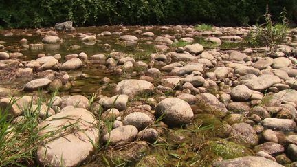 Vue des régions : sécheresse dans la Drôme