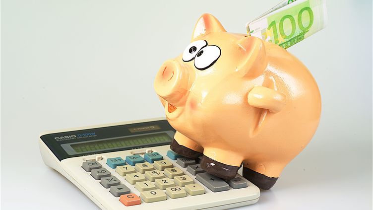 A piggy bank on a calculator.  (PATRICK LEFEVRE / MAXPPP)