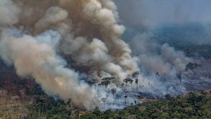 Un incendie dans la municipalité de Candeias do Jamari, dans l'Etat de Rondonia, au Brésil, le 24 août 2019. (VICTOR MORIYAMA / GREENPEACE)