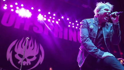 The Offspring sera l'une des locomotives de l'édition 2015 de Rock en Seine
 (Katie Darby/AP/SIPA)