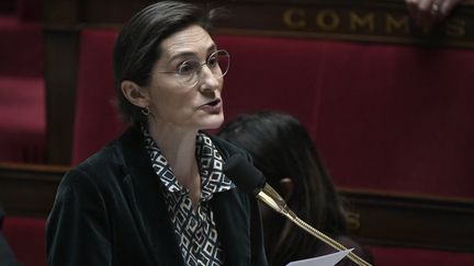 La ministre de l'Education nationale et des Sports Amélie Oudéa-Castéra, le 31 janvier 2024 à l'Assemblée nationale, à Paris. (STEPHANE DE SAKUTIN / AFP)