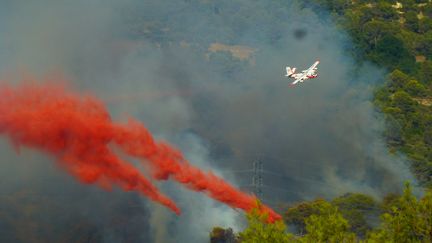 Un avion bombardier Tracker lutte contre l'incendie de Castagniers, près de Nice (Alpes-Maritimes), lundi 17 juillet 2017. (ALAIN SORIANO / CITIZENSIDE / AFP)