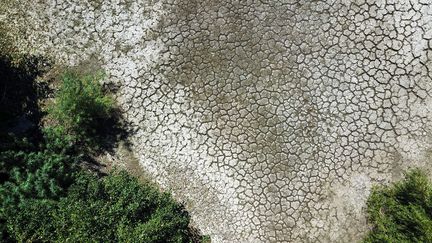 L’étang de la ferme du mont Saint-Jean est à sec, à Halluin (Nord), le 11 août 2022. Les vagues de chaleur et la sécheresse ont asséché l'étang qui a laissé place a une étandue de terre craquelée. (MAXPPP)