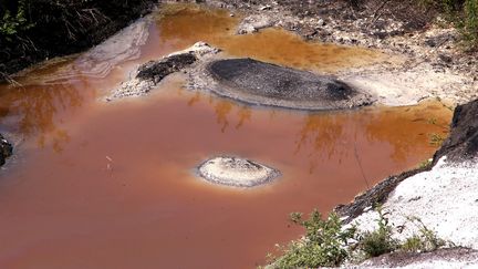 Un ancien intérimaire d'une entreprises sous-traitante pour ArcelorMittal à Florange affirme avoir déversé de l'acide dans le crassier du site pendant trois mois.&nbsp; (PIERRE HECKLER / MAXPPP)