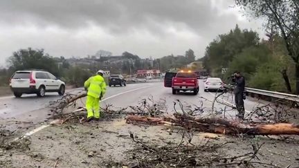 Trois personnes ont perdu la vie et des dizaines d’autres sont blessées dans l'État américain de Californie, touché par des vents violents et des orages, jeudi 5 janvier. (FRANCEINFO)