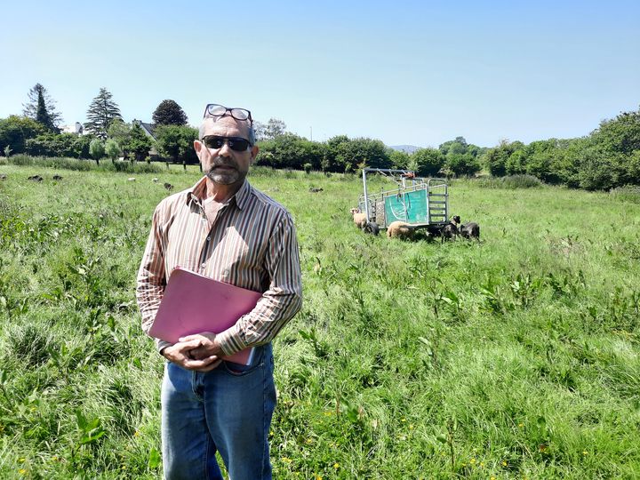 Patrick Sastre-Coader, éleveur à Dinéault dans le Finistère, a vécu depuis décembre cinq attaques sur son troupeau de brebis, et près de 30 bêtes sont mortes. Il est certain que le loup en est responsable. (AGATHE MAHUET / RADIO FRANCE)