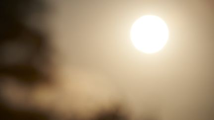 Le soleil vu depuis l'Hérault, le 25 août 2021. (ALAIN PITTON / NURPHOTO / AFP)