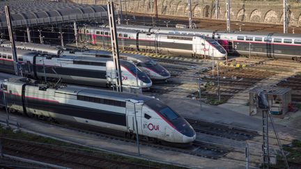 Des trains au technicentre de Charenton-le-Pont (Val-de-Marne), le 16 décembre 2022. (MAXPPP)