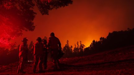 Des pompiers pendant un incendie à Puren, dans la région de l'Araucanie, au Chili, le 4 février 2023. (JAVIER TORRES / AFP)