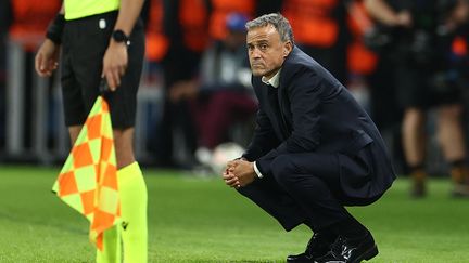 Luis Enrique, l'entraîneur du PSG, face au PSV Eindhoven en Ligue des champions, le 22 octobre 2024, au Parc des Princes. (FRANCK FIFE / AFP)