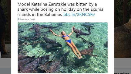 Une photo prise par le père du petit-ami de&nbsp;Katarina Zarutskie la montre en train de se faire mordre par un requin-nourrice lors d'une séance photo, en juin, aux Bahamas. (HAIRYDEL / TWITTER)