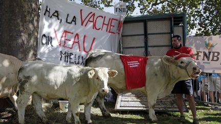 Un fermier &agrave; c&ocirc;t&eacute; de sa vache place de la Nation &agrave; Paris. (? JACKY NAEGELEN / REUTERS / X00198)